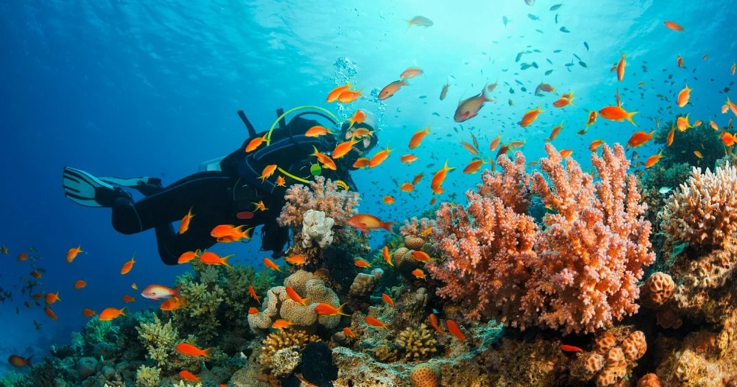Roamcrafts - DMC Andaman Classic Escape – 7 Days, 3 Islands, One Perfect Holiday